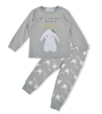 Load image into Gallery viewer, Toddler Girls&#39; Stretchy Cotton Pajamas - Princess Bunny Applique
